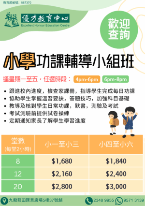 LT小學功課輔導小組班